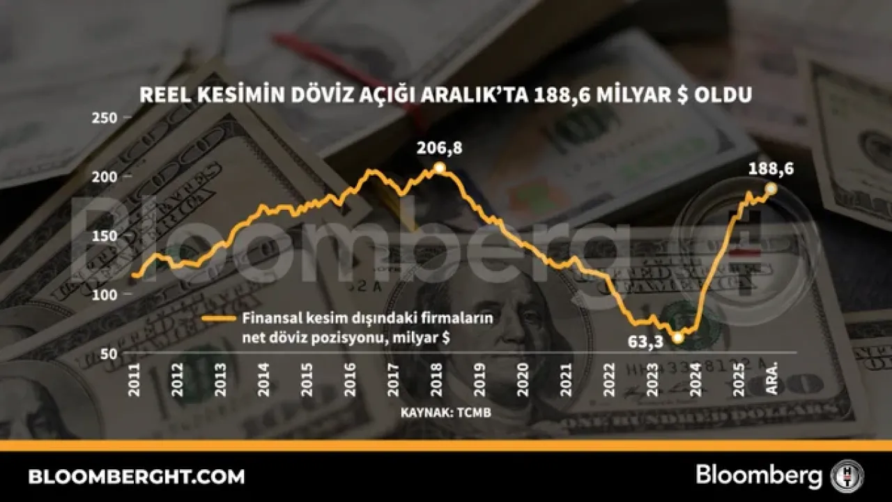 Reel Kesimin Döviz Açığı Aralık'ta 188.6 Milyar Dolara Ulaştı